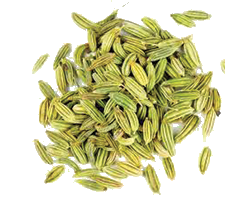 FENNEL SEEDS 1KG